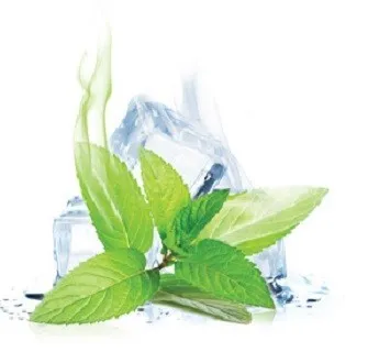 ePuff eLiquid Kit - Menthol Sensation 100 ml (50VG/50PG, 0mg)