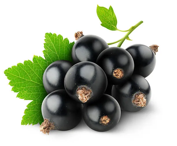 High City - Blackcurrant 30/ 10 ml