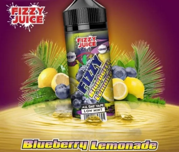 [9253] Mohawk and Co. Fizzy Blueberry Lemonade - 100 ml