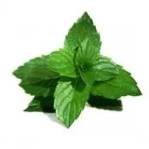 Vapeson - Super Mint - 10 ml